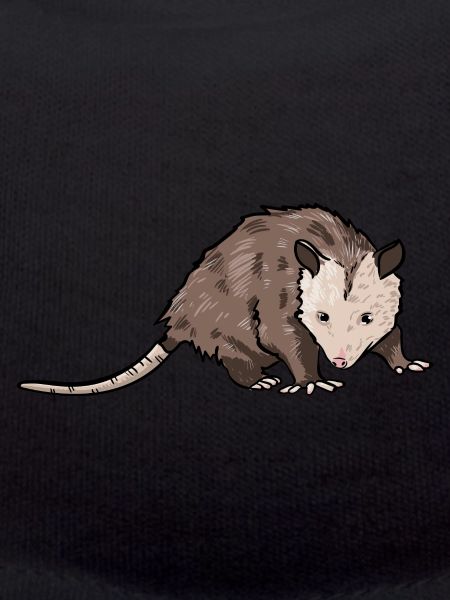 Opossum