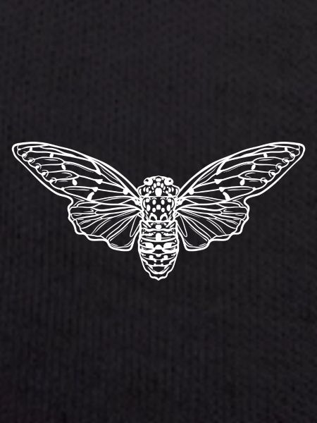 Cicada Minimalist