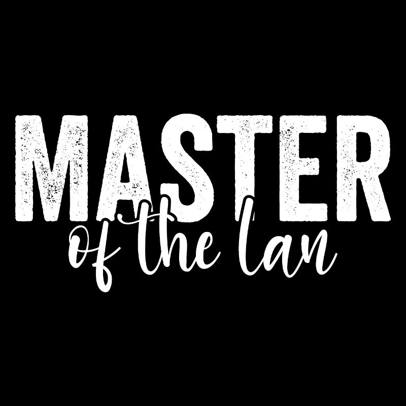 Netzwerkingenieur Master Of Lan Administrator