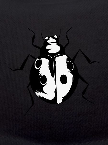Coccinelle