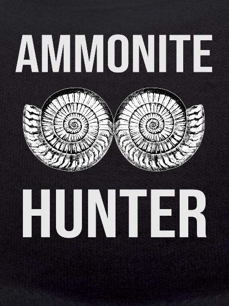 Ammonite Hunter fossil