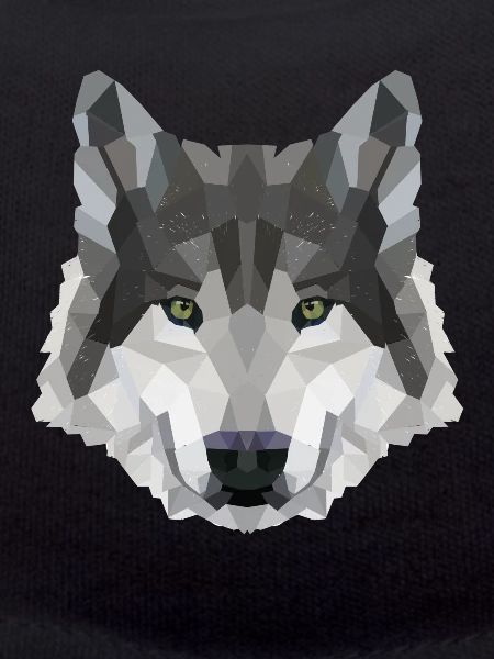 POLYGON WOLF MYTH FANTASY Husky