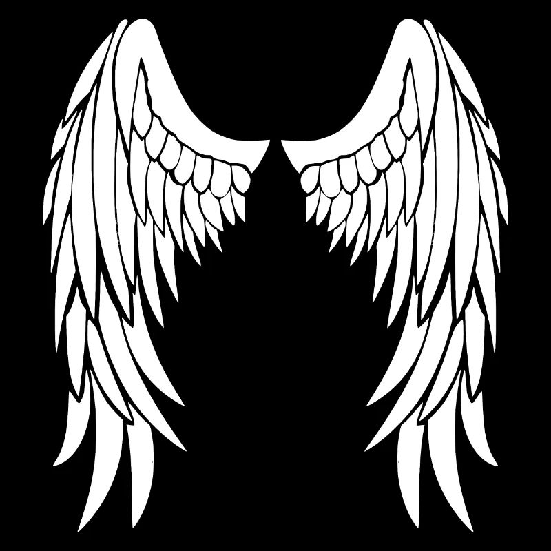 ailes d'anges