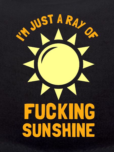 Sarcastic Sunbeam Gift