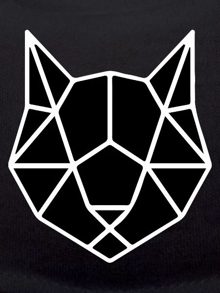 ORIGAMI CAT
