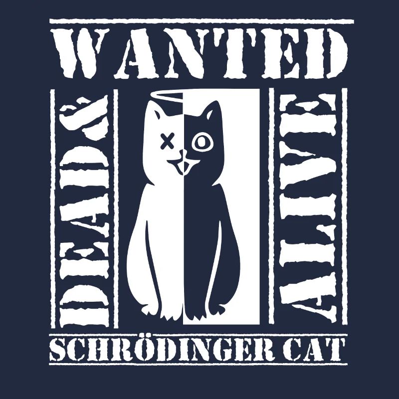 Schrödinger chat geek geek physicien science