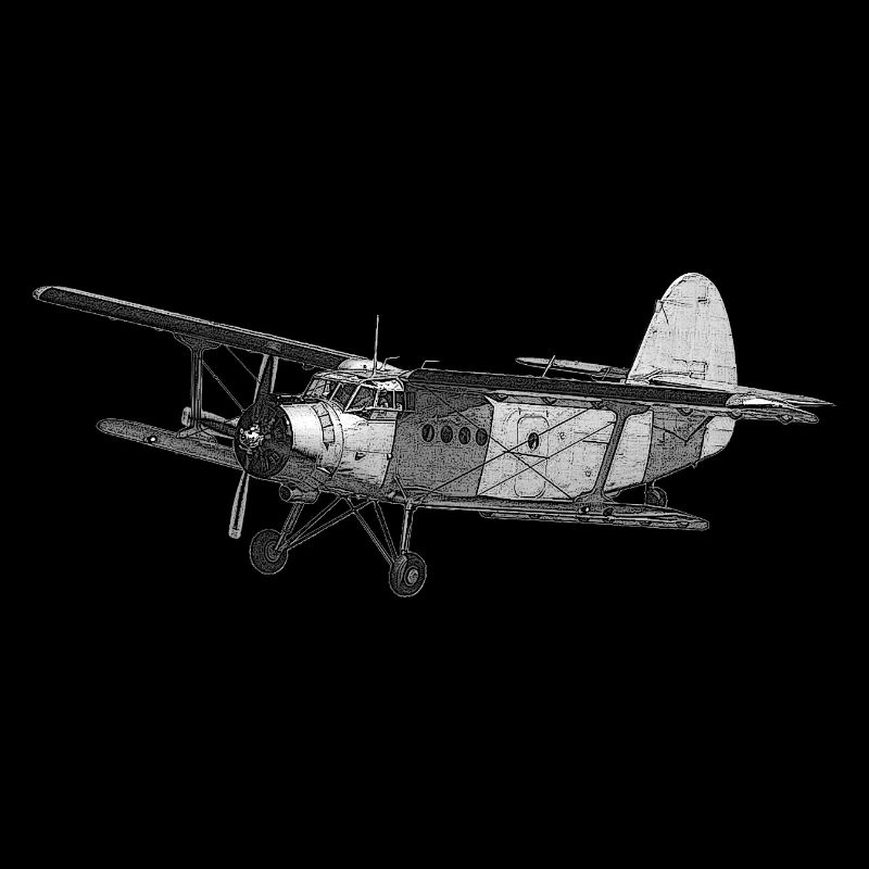 Antonov AN-2 avion biplan AN-2