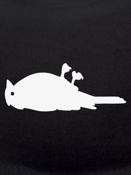Bird on its back