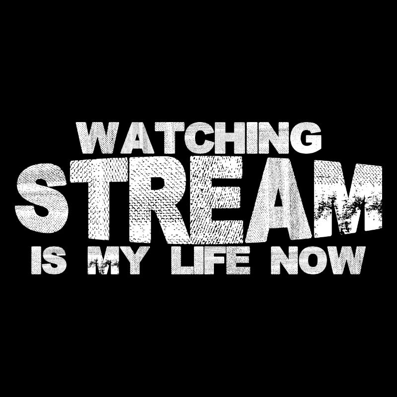 Watching Stream Is My Life Now 2