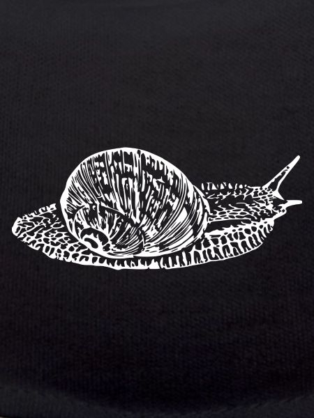 Snail, vineyard snail white