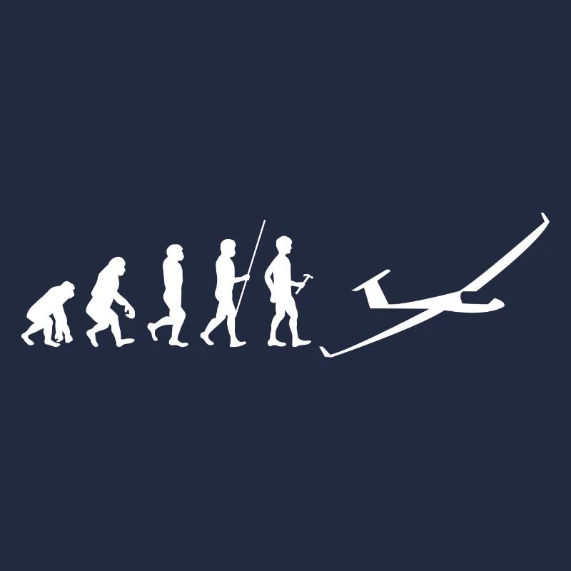 Sailplane Pilot Evolution Flying Glider Aviation