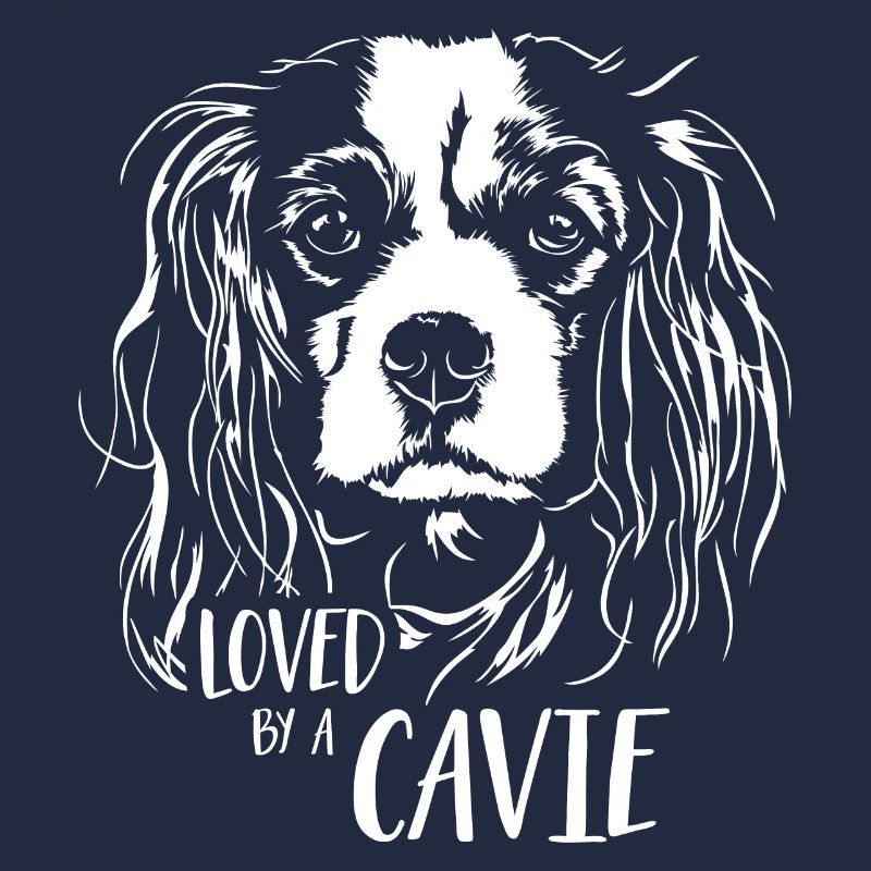 CAVALIER KING CHARLES SPANIEL aimait Cavie Wilsigns