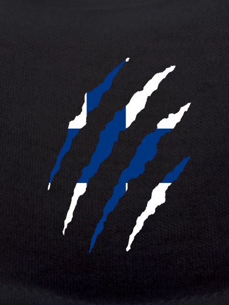 Finnish flag Finland