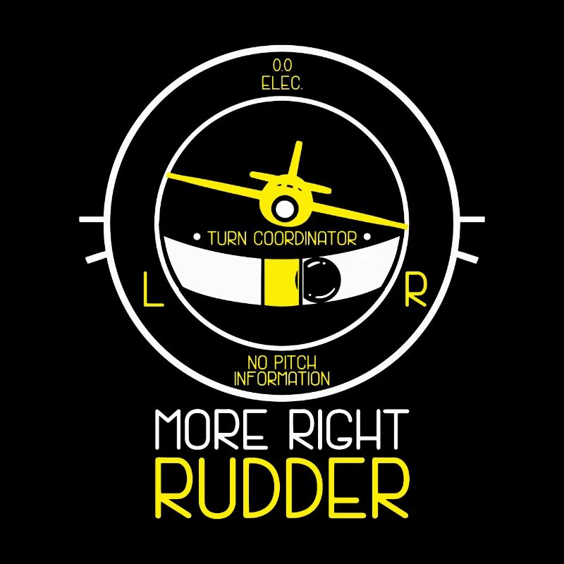 Funny Aviation Aircraft Flight Instructor Gift