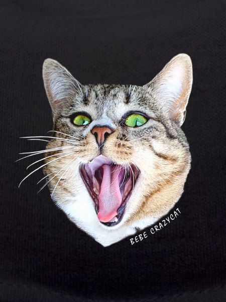 Bebe Crazycat Blanc