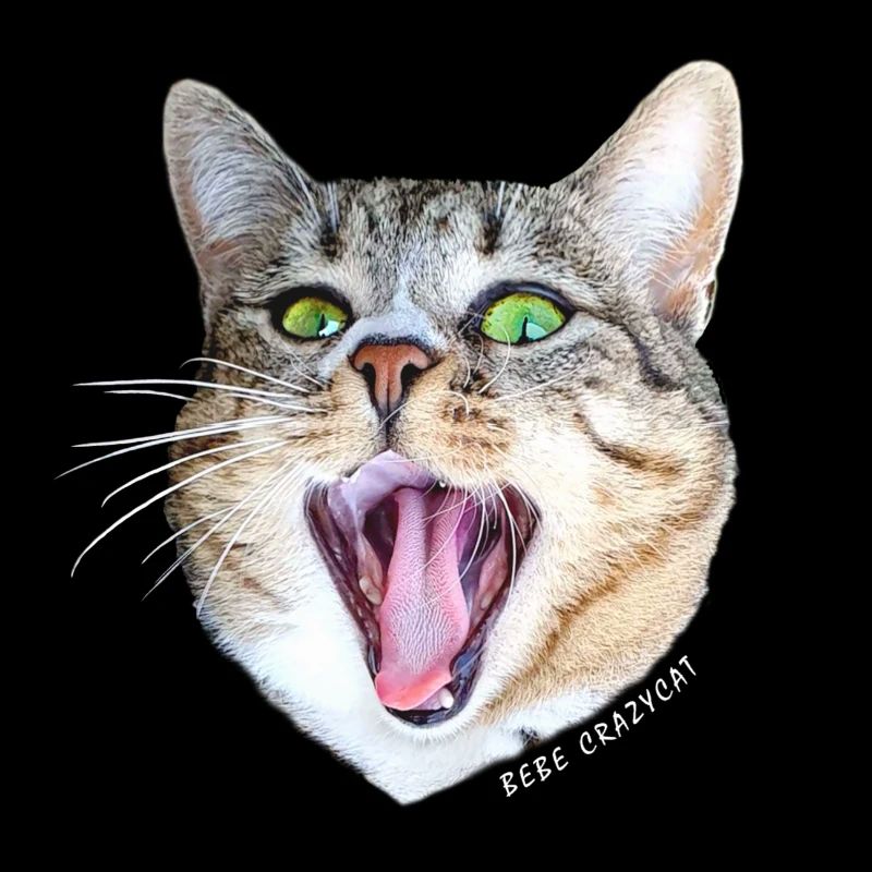 Bebe Crazycat Blanc