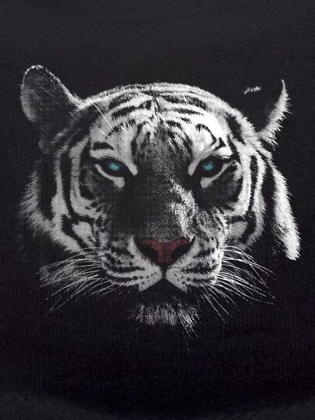 White tiger tiger head