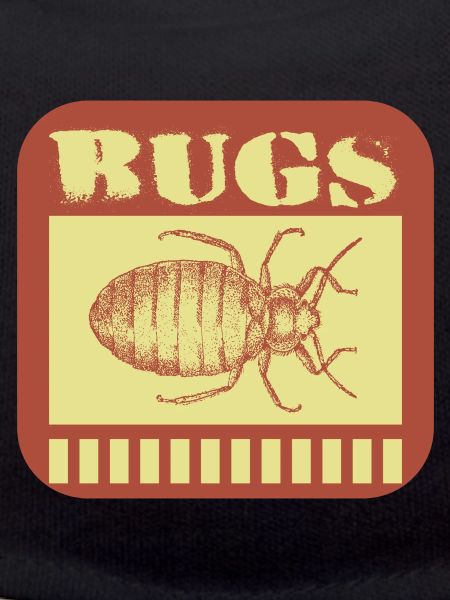 Bugs insects