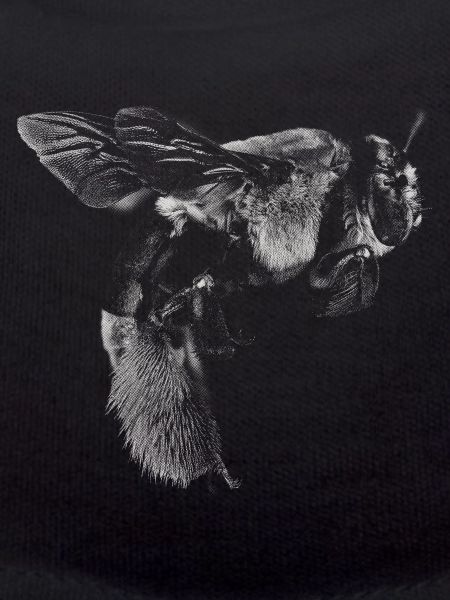 Bee bees design