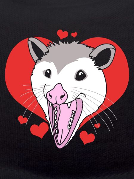 Opossum Possum