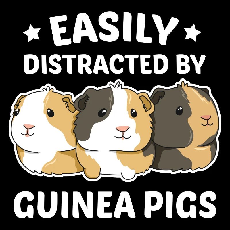 Guinea pig design for a guinea pig
