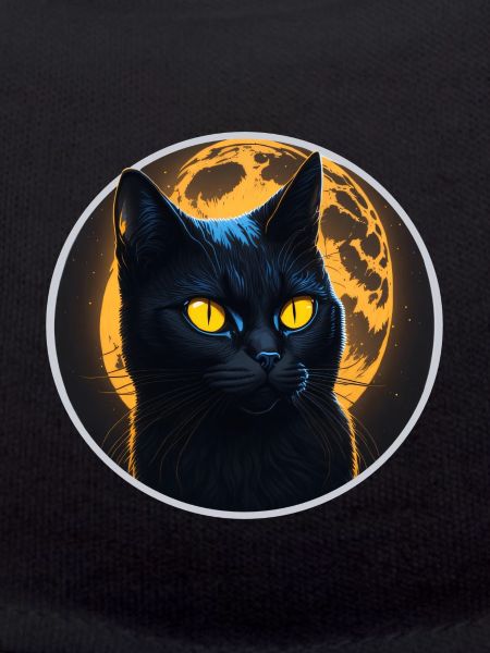 black cat halloween