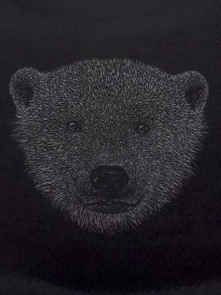 Eisbär Portrait