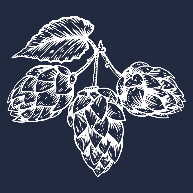 Houblon Malt Bière Levure Fermentation Production de bière Pils