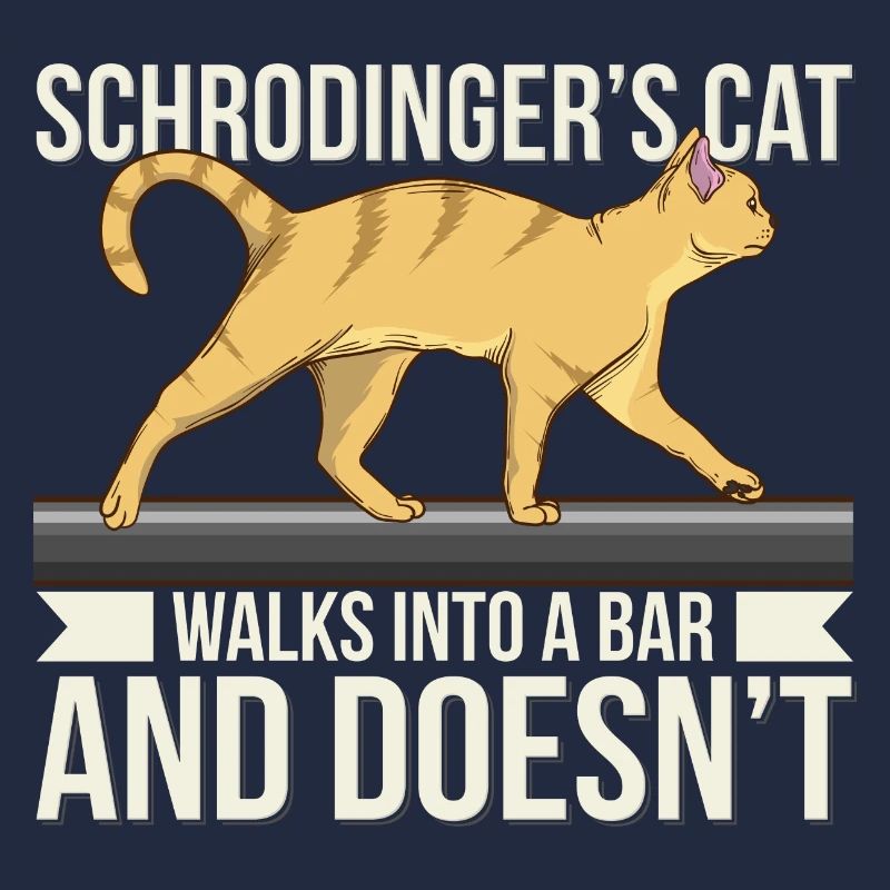 Lustiger Science Pun Schrodingers Katze geht in
