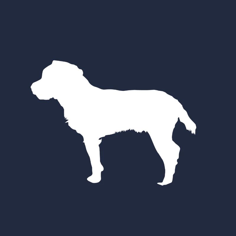 Jagdterrier - Deutscher Jagdterrier