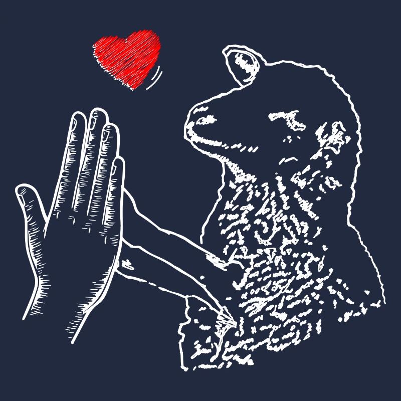High Five Schaf