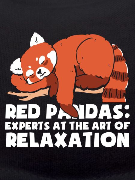 Sleeping Red Panda