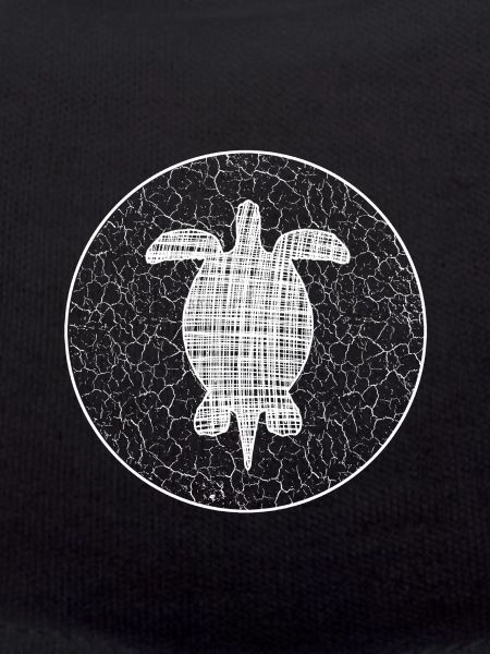 Turtle Schildkröte