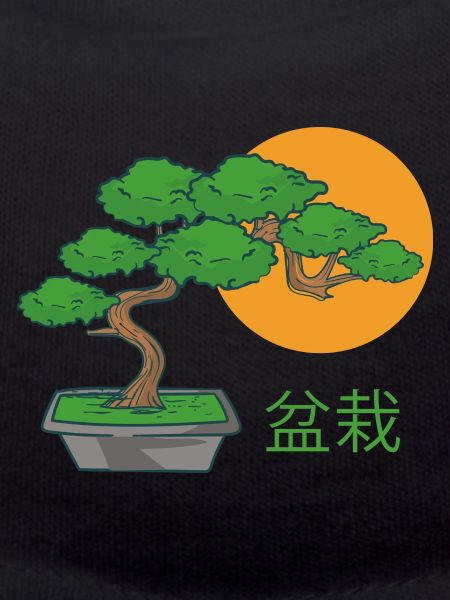 Bonsai Small Tree