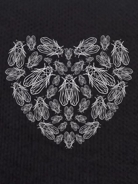 Cicadas Heart