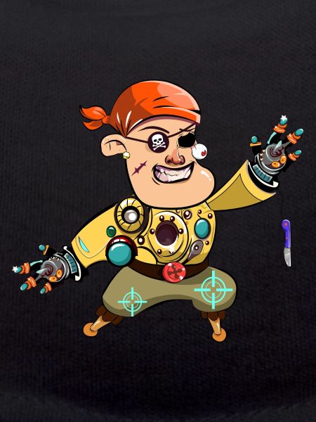 Pirate Robot