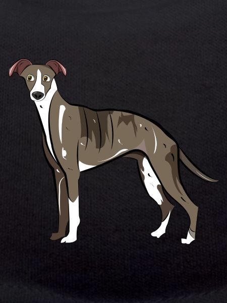 Whippet Dog