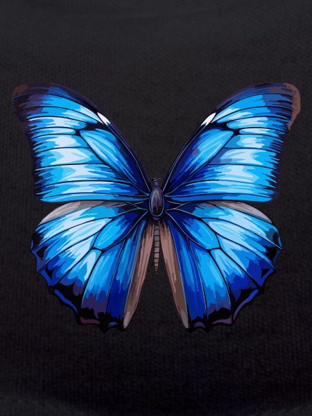 Blue Morpho Butterfly
