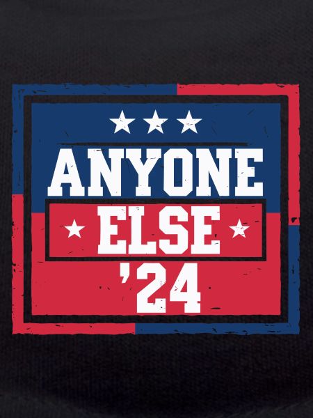 Anyone Else Election 2024