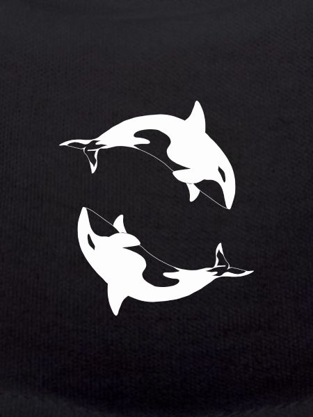 Schwertwal Orcinus orca