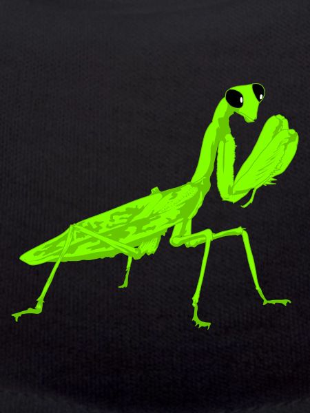 Dyrkare Mantis Religiosa Instekt