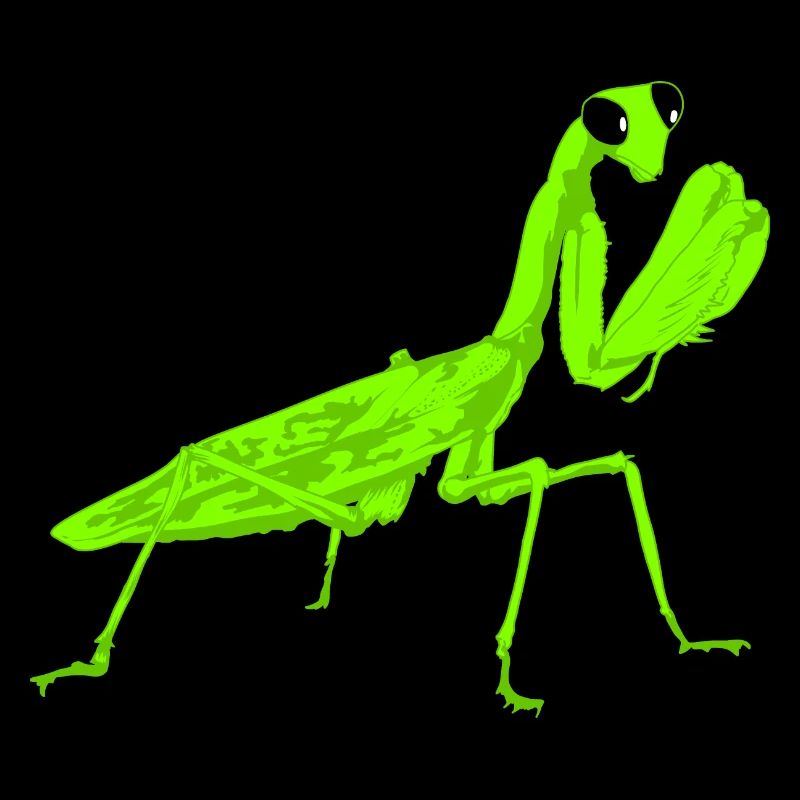 Worshiper Mantis Religiosa Instekt