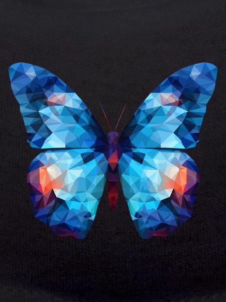 Blue Morpho Butterfly