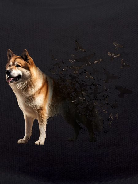 Akita