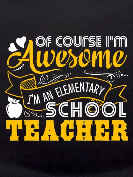 Elementary School Teacher