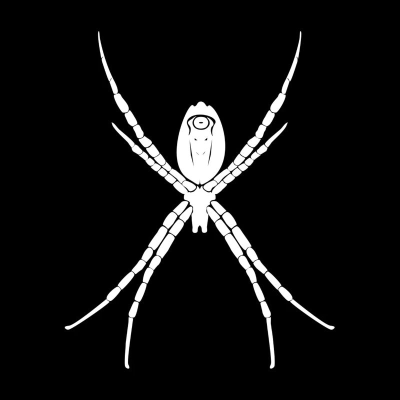 araignée