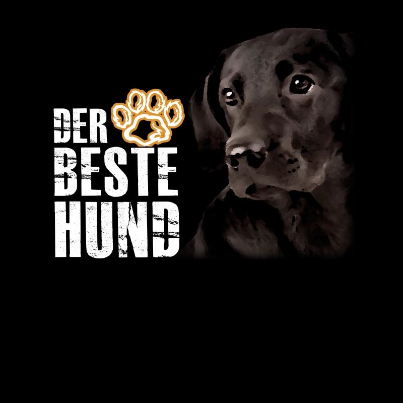 Le meilleur chien - Labrador Brown