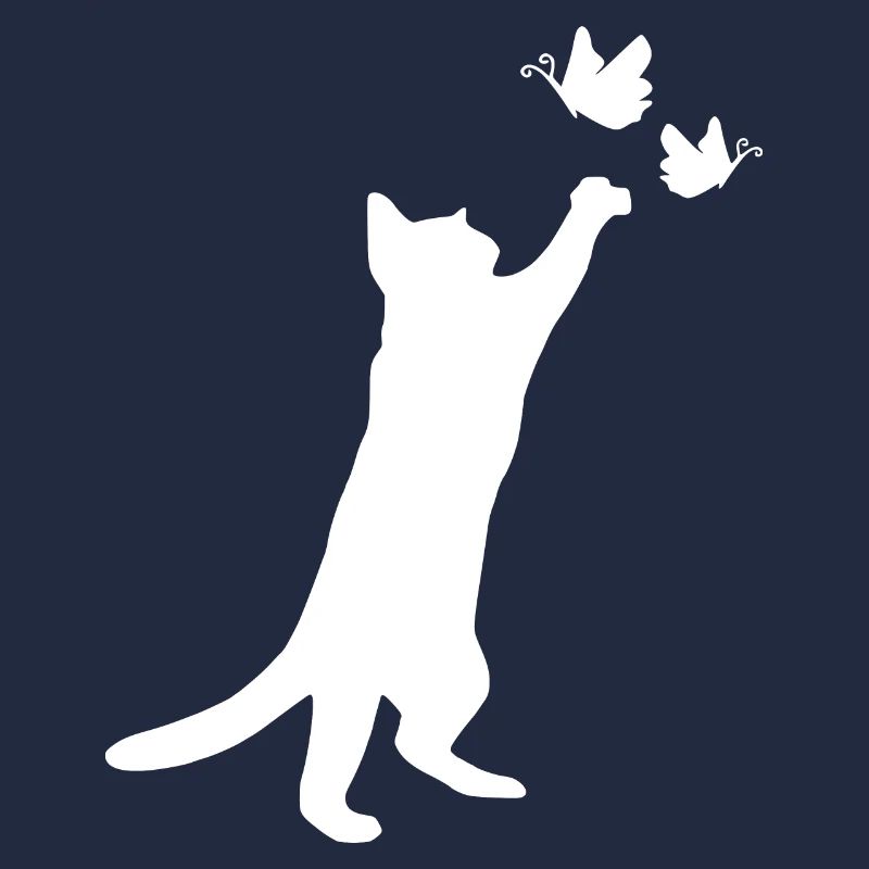 jouer chat mignon chat cadeau chat