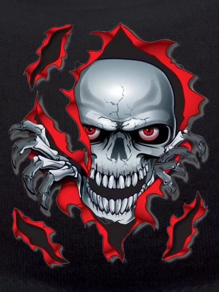 Schädel