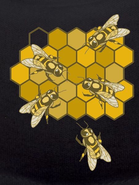 Bees on honeycomb